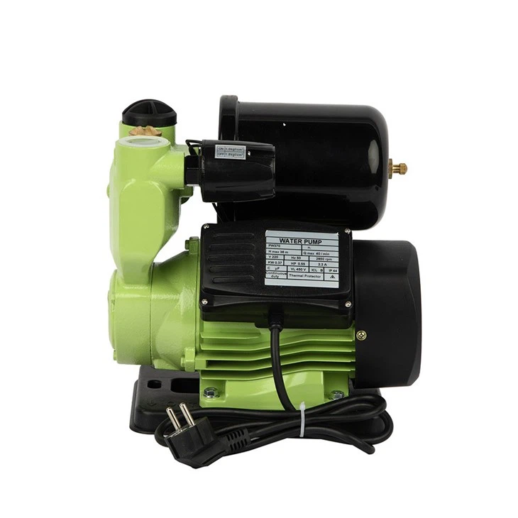 High Performance PW125 Pump For Residential Water Supply & Garden Irrigation suppliers