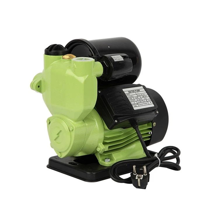 Corrosion-Resistant PW125 0.5HP Pump CE ISO 24m Head suppliers