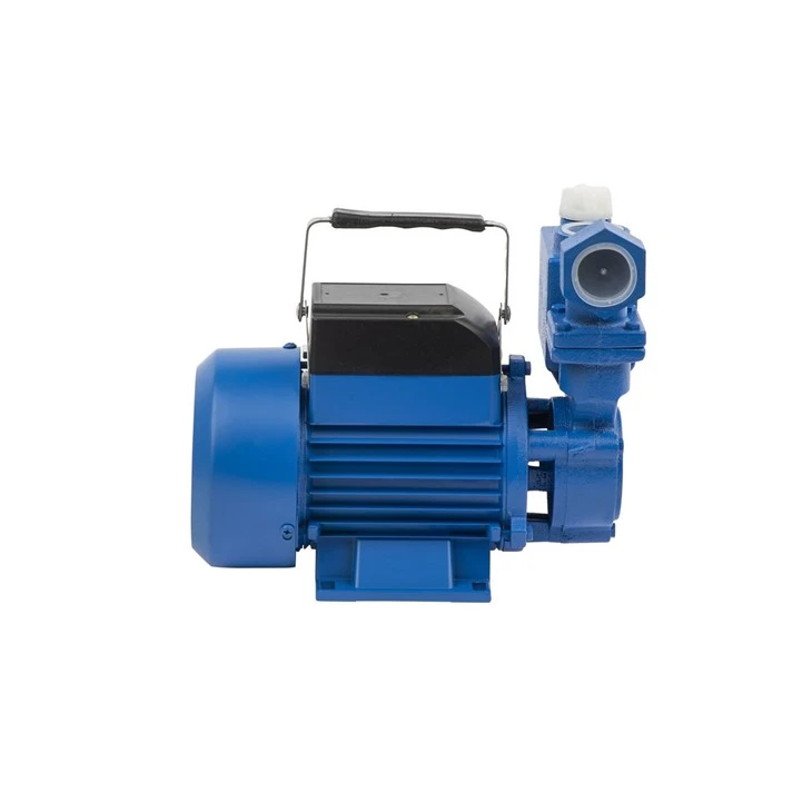 IZDB-35 Peripheral Pump 0.5HP 35m Head MOQ 50PCS Factory Supply factory